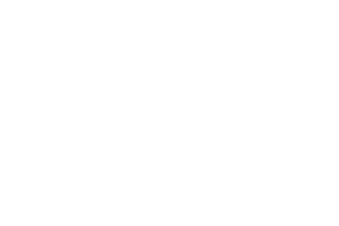 林王子